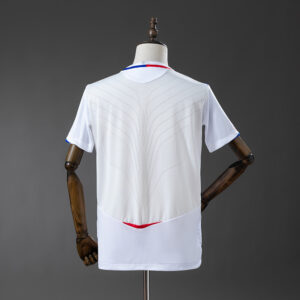 Olympique Lyon 2008/09 Local