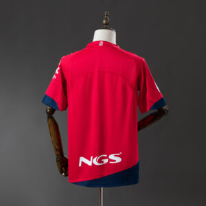 Osasuna 2011/12 Local