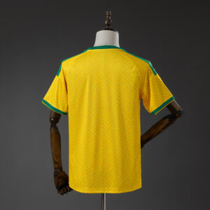 Sudáfrica Mundial 2026 Local